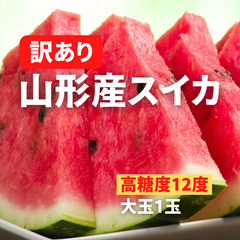 【7月発送】山形産スイカ　訳あり　大玉　1玉
