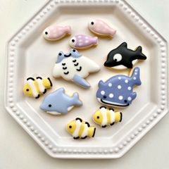 着色料不使用　水族館お任せセット