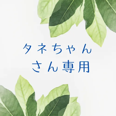 タネちゃんさん　専用（おまとめ）