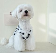 犬の服　ふわもこダルメシアン柄ベスト