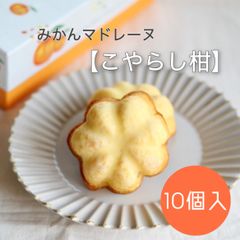 【焼菓子】みかんマドレーヌ〈こやらし柑〉10個入