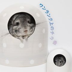 チンチラ 陶器 チラ壷 かわいい 暑さ対策 ひんやり ハウス ゆったり ゲージ ケージ チンチラ おしゃれ 寝床 砂遊び バスルーム 小動物 デグー リス 隠れ家 ハウス 水玉 ケージ インテリア ホワイト