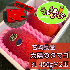 【数量限定品】宮崎県県　完熟マンゴー　太陽のタマゴ　3L　450g以上×2玉 みやざきマンゴー　マンゴー　宮崎マンゴー　太陽のたまご　太陽の卵