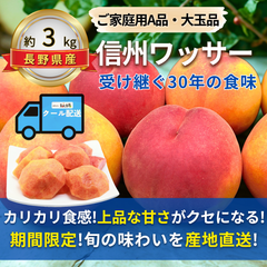信州ワッサー〜受け継ぐ30年の食味〜【内容量】約3kg【配送方法】クール配送【サイズ】L以上【品目】ワッサー【品種】当店お任せ【産地】長野県【規格】ご家庭用A品【詰め方】フルーツキャップ詰め【配送までの日数】1～4日