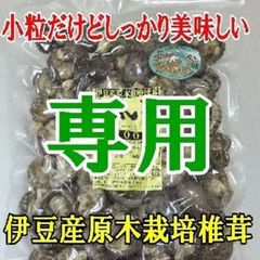 ★断☆舎☆離様専用★追加購入割引価格★伊豆産原木栽培の上質どんこ（一寸）２００ｇ
