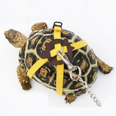 新品 亀 蜥蜴用牽引ロープ ペットリード 小動物引きひも お出かけ散歩用リーシュ (L)