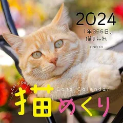 2023年最新】猫めくりカレンダー（ ） （［カレンダー］）の人気