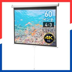 【人気商品】巻き上げ 吊り下げ 4:3 天吊り 60インチ ロール式 壁掛け プロジェクタースクリーン 大型 ホームシアター イーサプライ EEX-PST1-60