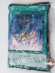 遊戯王　師弟の絆　BIGカード　ブランケット タグ付き