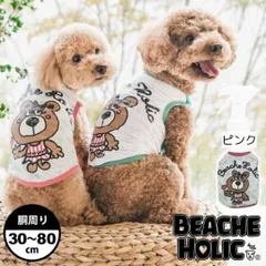 くーちゃん専用出品 グッドボーイDXくるくるフィット／安ピカッ フィットちゃん