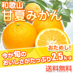 甘夏みかん 和歌山県産 訳あり  あまなつ お試し ご自宅用 2.5kg