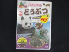 パンダ物語 ピンピンの大冒険 VHS - メルカリ