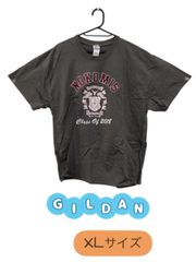 GILDAN　半袖Tシャツ　ブラウン　美品　英字プリント　NOKOMIS　U-449
