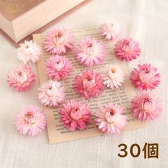 ヘリクリサム パステルピンク 30輪  ドライフラワー 貝細工 国産