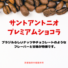焙煎コーヒー豆　サントアントニオ　プレミアムショコラ　 生豆１００ｇ