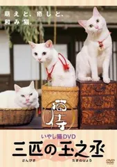 ZOOプロ 限定 あなごちゃん お別れ会 手形カード 猫侍 玉之丞 非売品 猫 2025年最新】玉之丞の人気アイテム - メルカリ