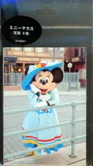 東京ディズニーリゾート 写真 6枚セット ミニーマウス/実写