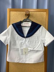 Item thumbnail for item ea51389d-ee48-483d-b899-743ed396e881