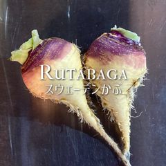 この冬イチオシの根菜！富山県産ルタバガ 約1.2kg