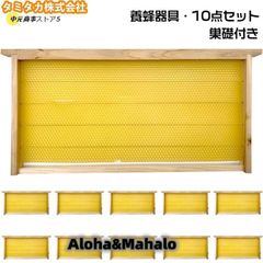 Item thumbnail for item 61cdc7b0-07ae-43db-a199-22159c4b65a6