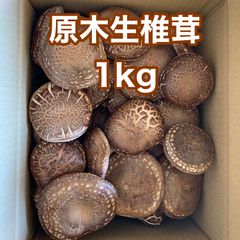 原木生椎茸　1キロ