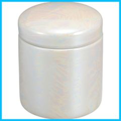 Item thumbnail for item 8995abb3-6c44-4fcf-bf36-2a7ff19349c8