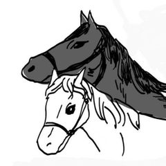 shop-thumbnail
