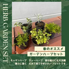 2024年最新】ラベンダー寄せ植えの人気アイテム - メルカリ