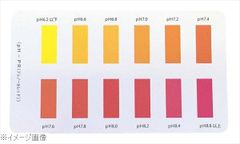 Item thumbnail for item 5ece4a7c-4ccc-43ed-b053-da0d4928fbc2