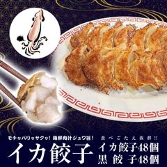 餃子 取り寄せ 冷凍餃子 お取り寄せグルメ ぎょうざ 冷凍 [美食点心ぎょうざ館] 黒餃子&イカ餃子セット（16人前／96個）※北海道・沖縄・離島発送不可