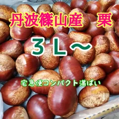 2025年最新】丹波栗 4lの人気アイテム - メルカリ
