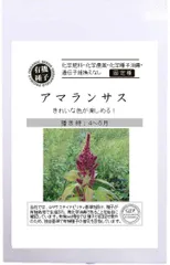 有機種子 グリーンフィールド A535 アマランサス 100粒 固定種 たね【ポスト投函】のサムネイル