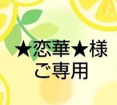 ★恋華★様ご専用〜ハゴロモジャスミン(苗と挿し穂）