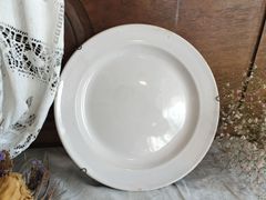 恵様　専用　フランス アンティーク　19世紀　ムスティエ　白い　　皿 とドライフラワー額3点セット