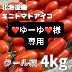 【クール便】ミニトマトアイコ　4kgのサムネイル