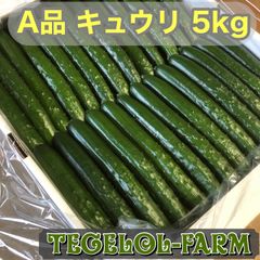 キュウリ 朝取れ 食べれる美容液 宮崎県産 ウルトラ品 5kg