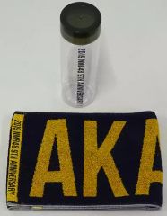 Item thumbnail for item d6ffd3ae-9b06-4c77-8c89-24a3eae76aac