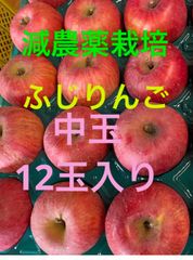 減農薬栽培山形産 12玉中玉パック詰め3キロふじりんご
