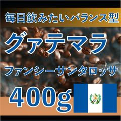 [400g] 自家焙煎　コーヒー豆　グァテマラ