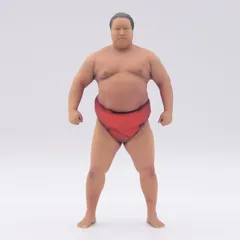 2025年最新】力士 フィギュア 相撲の人気アイテム - メルカリ