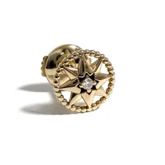 2025年最新】ローズデヴァン ピアスの人気アイテム - メルカリ