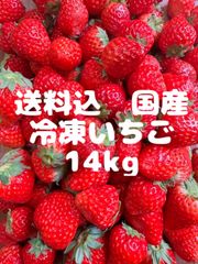 冷凍いちご14kg 半額SALE☆ 冷凍いちご14Kg（栃木県産） 果物 - 果物