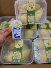 冷凍クール発送  冷凍ドリアン500g*5箱