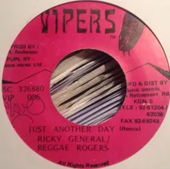 7” Ricky General / Reggae Rogers Just Another Day VIP006 Vipers /00080