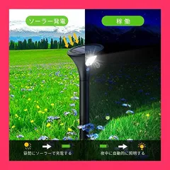 2025年最新】leoleeの人気アイテム - メルカリ