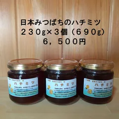 2021年春の 日本ミツバチの蜂蜜大量‼️4kg超‼️Ｎｏ．231 その他