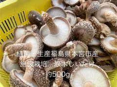 2024年最新】原木栽培椎茸の人気アイテム - メルカリ