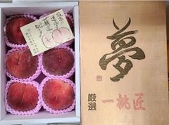 絶品 山梨産 ふえふき 高糖度 白桃【八代の桃　一桃匠】一箱5~6玉 お中元 敬老の日