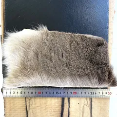 2025年最新】フライマテリアルの人気アイテム - メルカリ