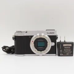 2025年最新】lumix gx7mk3の人気アイテム - メルカリ
